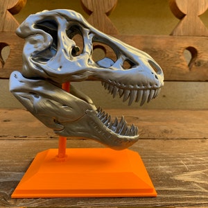 3D Printed T-Rex Skull with Display Stand image 6