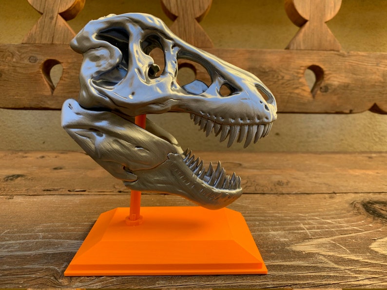 3D Printed T-Rex Skull with Display Stand image 6