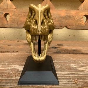 3D Printed T-Rex Skull with Display Stand image 7