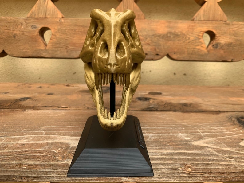 3D Printed T-Rex Skull with Display Stand image 7