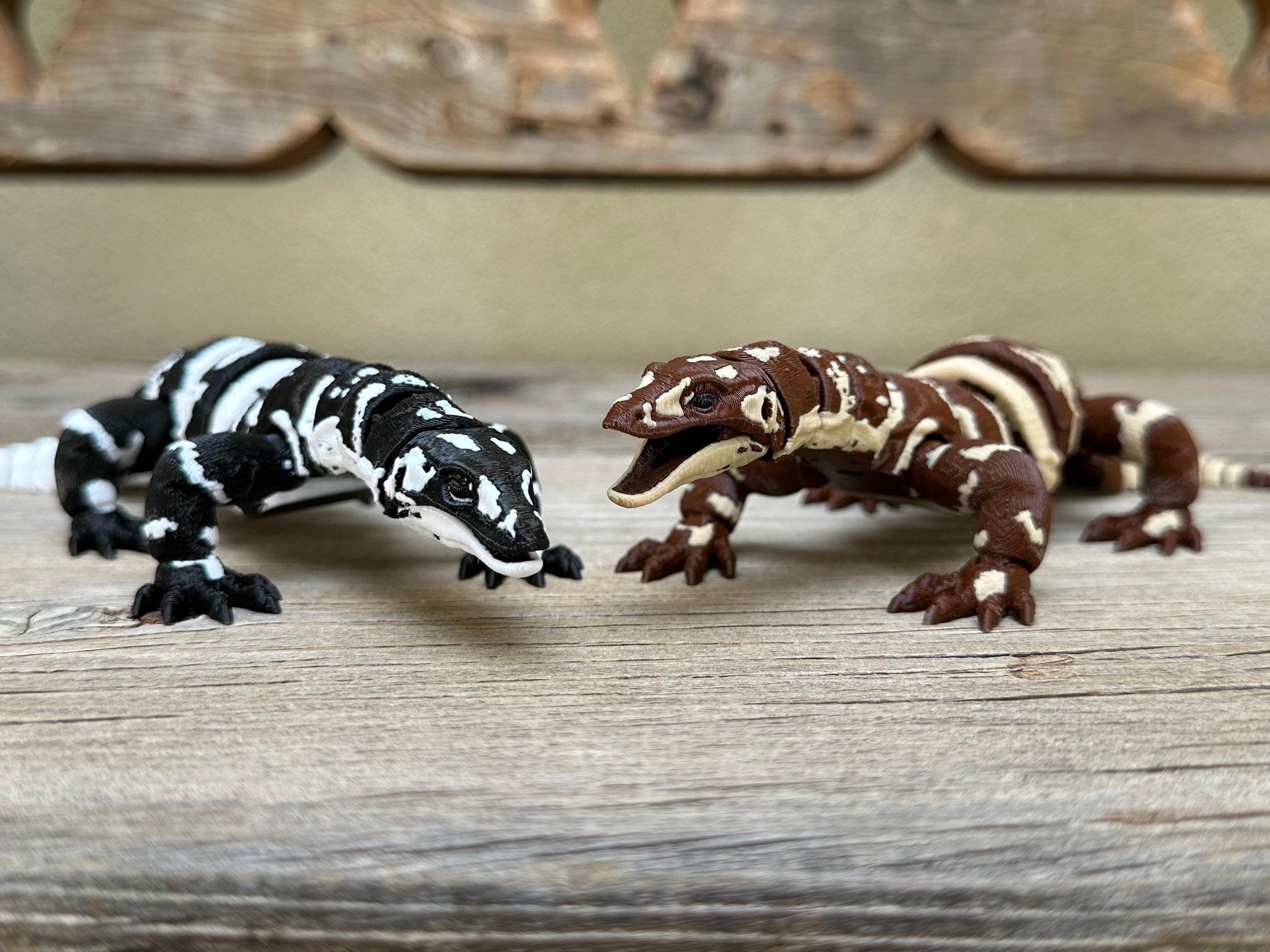 Mader's Reptile and Amphibian 獣医　エキゾチック Mader's Reptile and Amphibian 獣医 エキゾチック
