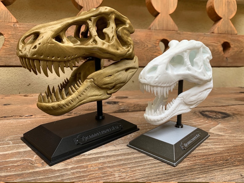 3D Printed T-Rex Skull with Display Stand image 1