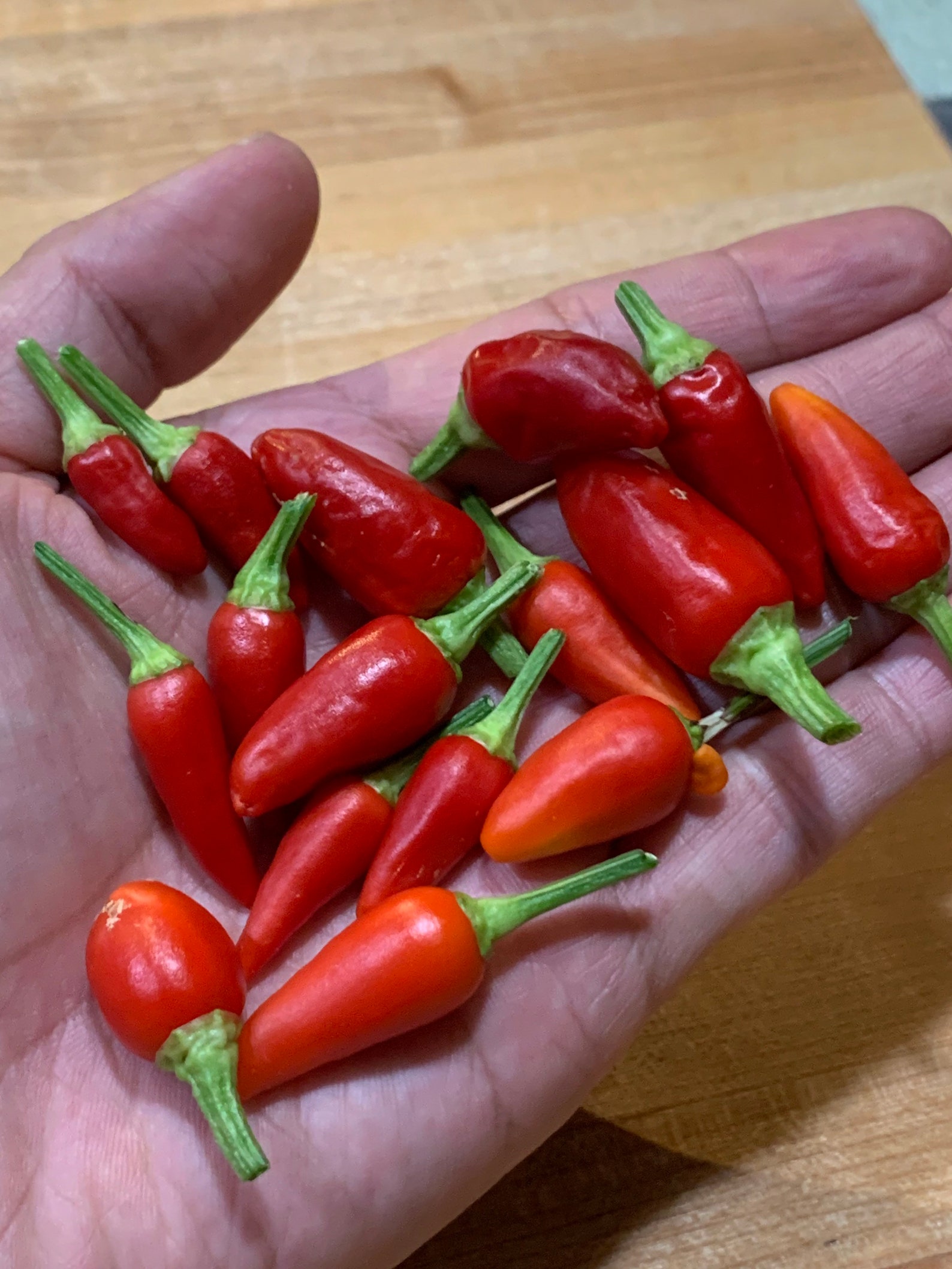 Mekong White Thai Pepper Seeds Etsy