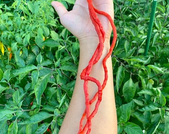 Thunder Mountain Longhorn Pepper Seeds