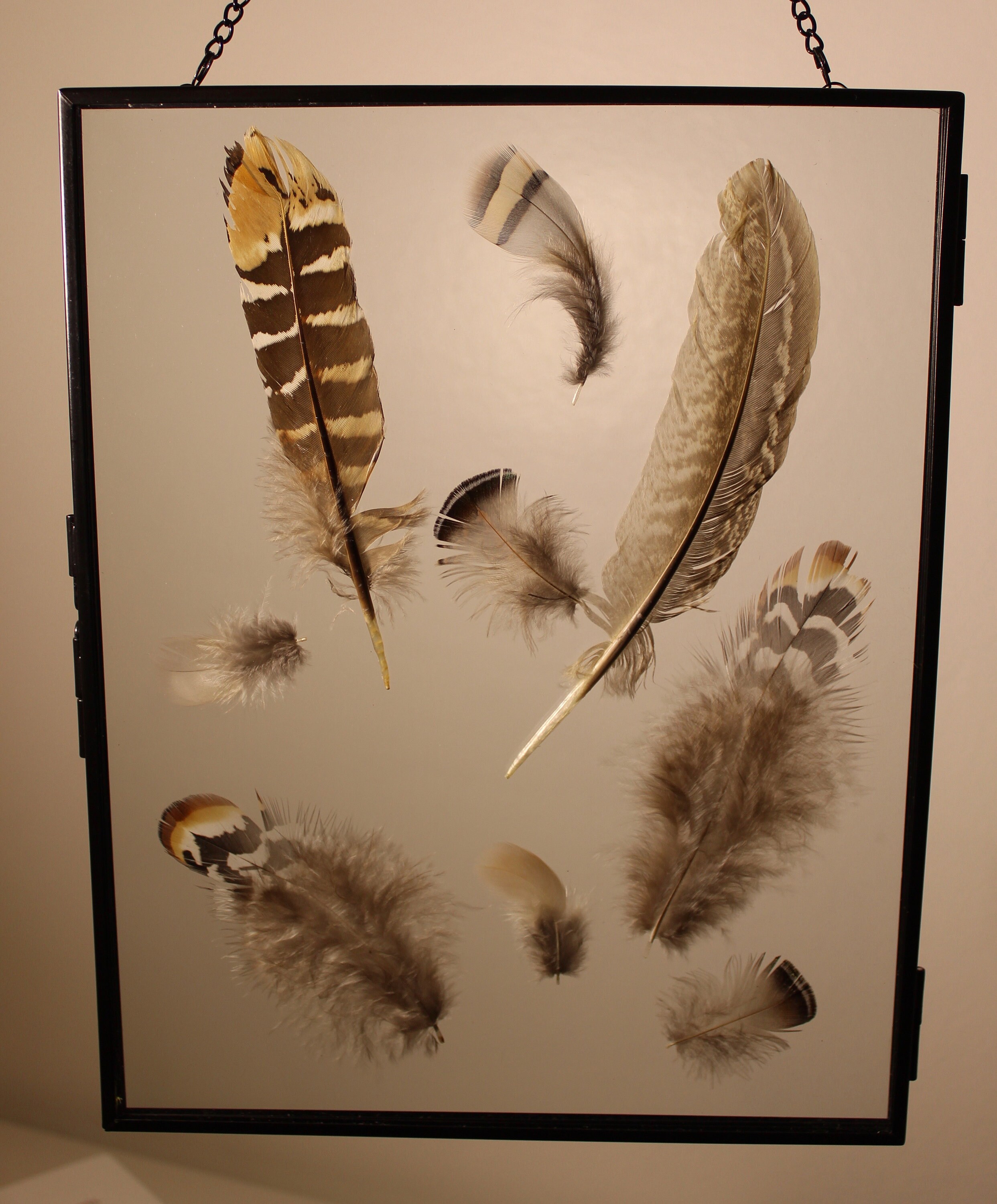 Feather frame between two glasses Etsy