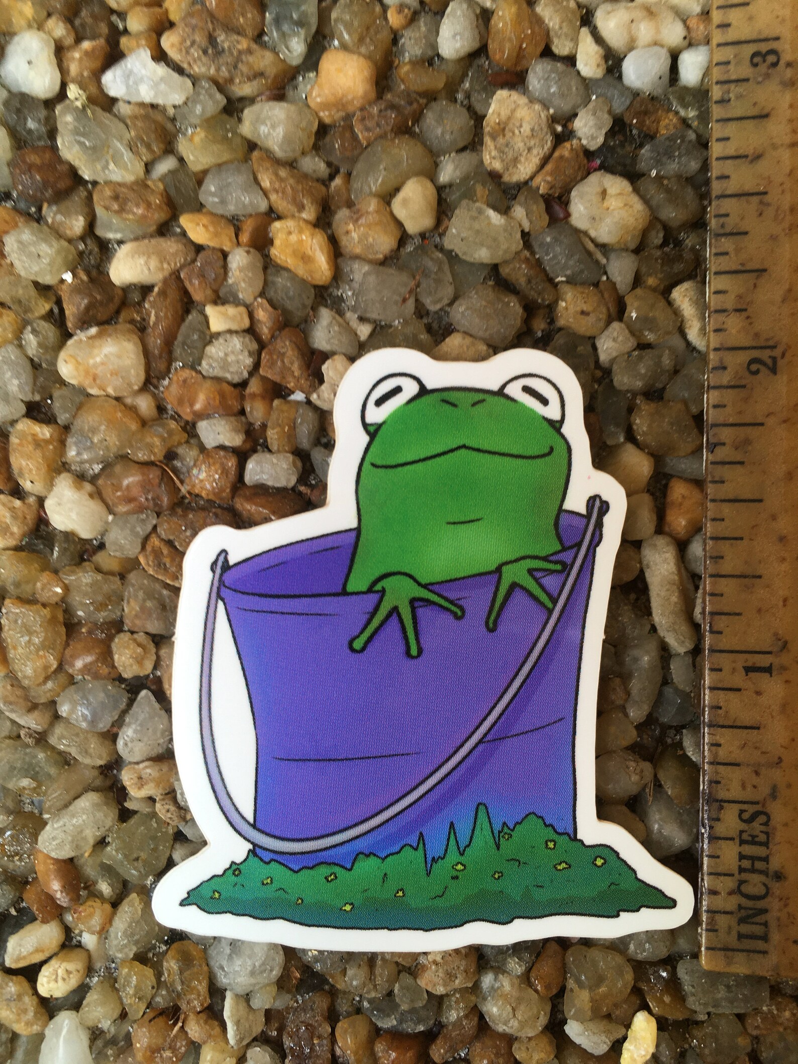 Frog Sticker 2pack Frog in a Bucket and Neapolitan Frog Etsy