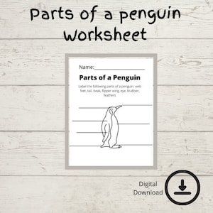 Parts of a Penguin Worksheet | Classroom Printables | Digital Download | Science Worksheet