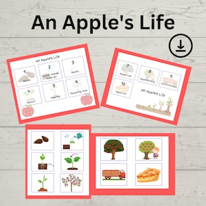 May include: A colorful educational chart illustrating the life cycle of an apple, from seeds to apple pie. The chart includes images and text describing each stage of the apple's growth.