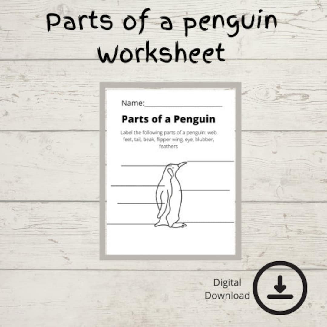 Parts of a Penguin Worksheet | Classroom Printables | Digital Download ...