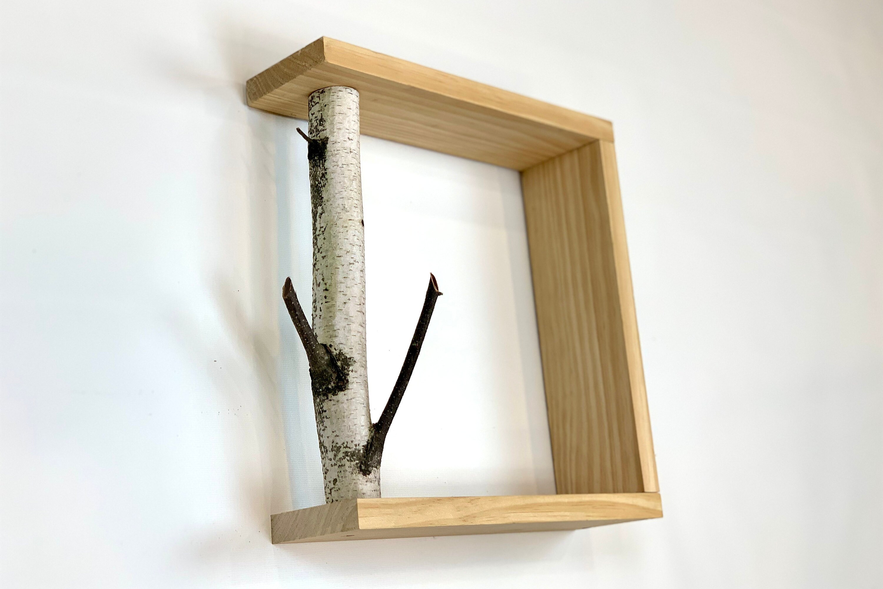 Birch Wall Shelf Etsy