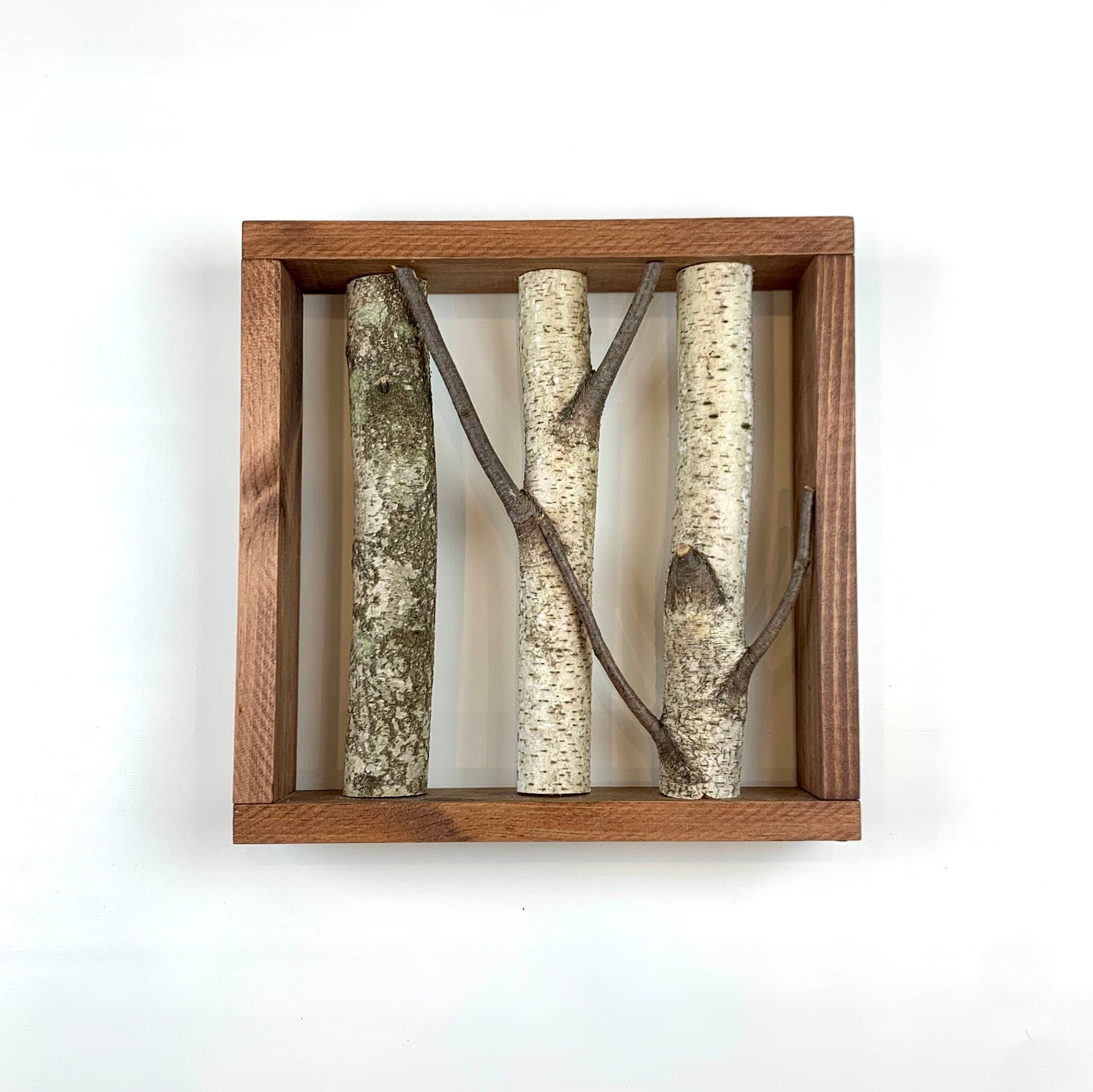 Birch Wall Art Birch Branch Decor Framed Birch Etsy