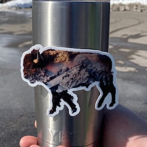 Bison in Grand Teton National Park Jackson Hole Wyoming Sticker or Magnet