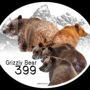 Grizzly Bear 399 with Cubs in Grand Teton National Park Sticker or Magnet