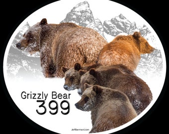 Grizzly Bear 399 with Cubs in Grand Teton National Park Sticker or Magnet