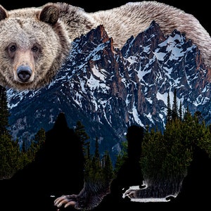 Bear in Grand Teton National Park  Jackson Hole Wyoming Sticker