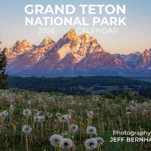 2026 Grand Teton National Park Wall Calendar featuring Grizzly Bear 399 and other wildlife.