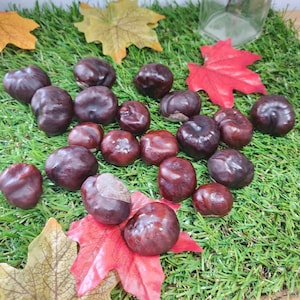 20 Conkers, Buckeyes, Horse Chestnuts. Mixed sizes.
