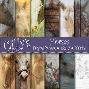 Horses Digital Paper: Horses, printables, Horse background, commercial use, instant download, 12x12 inches, 300dpi, jpg files