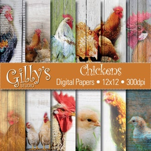 Chicken Digital Paper: Chickens, printables, Chicken background, commercial use, instant download, 12x12 inches, 300dpi, jpg files