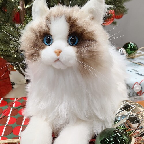 stuffed ragdoll cat