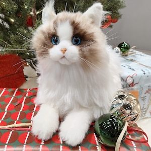 Weighted Stuffed Animals Ragdoll Cat Plush,4.5LB Valentine's Day Gift Realistic Cat Size,Lifelike Weighted Cat Plush