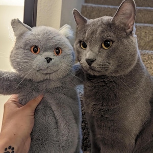 Graue Katze Rucksack-Süße Handgemachte Katze Plüsch-Mini Rucksack, Kawaii Geschenke, Frauen Geschenke