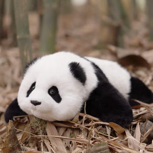Menglan Panda Plush: Handgjord realistisk följeslagarplyschleksak för husdjur presentset Gaint Panda
