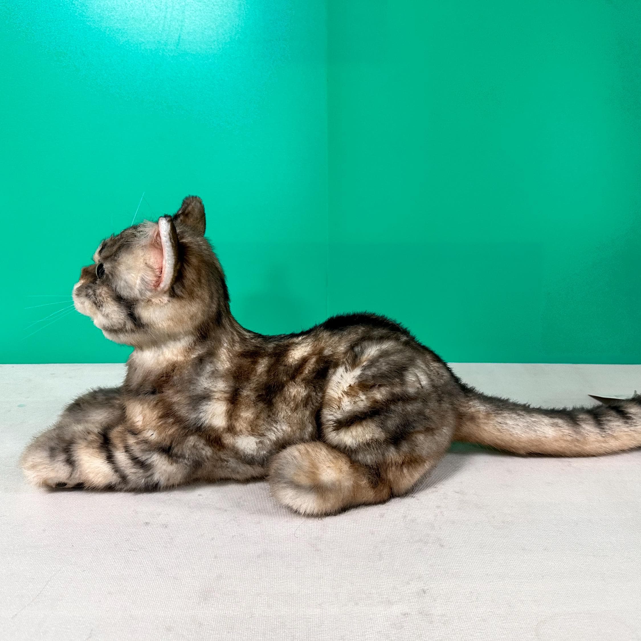 手作りのアメリカンショートヘア猫のぬいぐるみ：リアルなコンパニオン