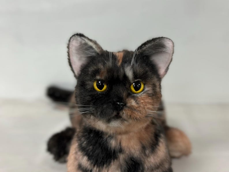 May include: A close-up of a tortoiseshell cat with black, orange, and white fur. The cat has bright yellow eyes and is looking directly at the camera.