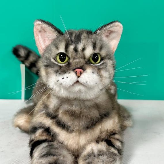 手作りのアメリカンショートヘア猫のぬいぐるみ：リアルなコンパニオン