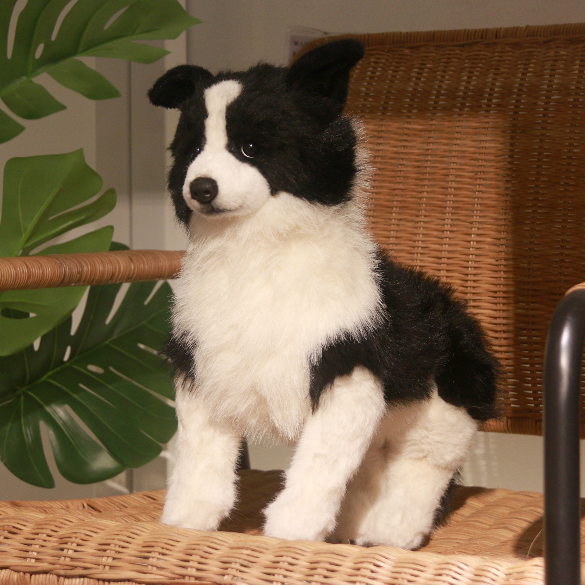 Border Collie handmade soft and cuddly realistic 12 collectable toy dog  5030717111480 on eBid United States