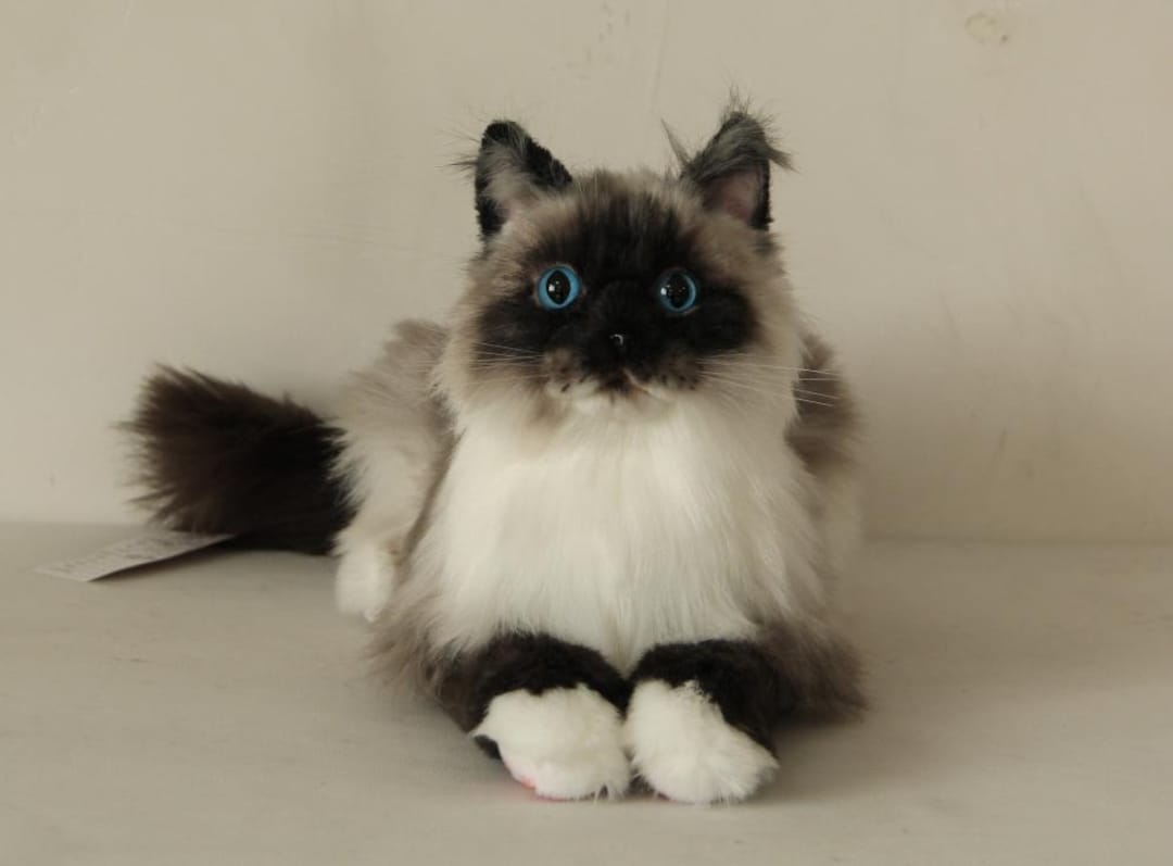 Peluche De Gato Siamés De 10 Pulgadas – Suave Y Realista, Perfecto Para Regalar O Decorar