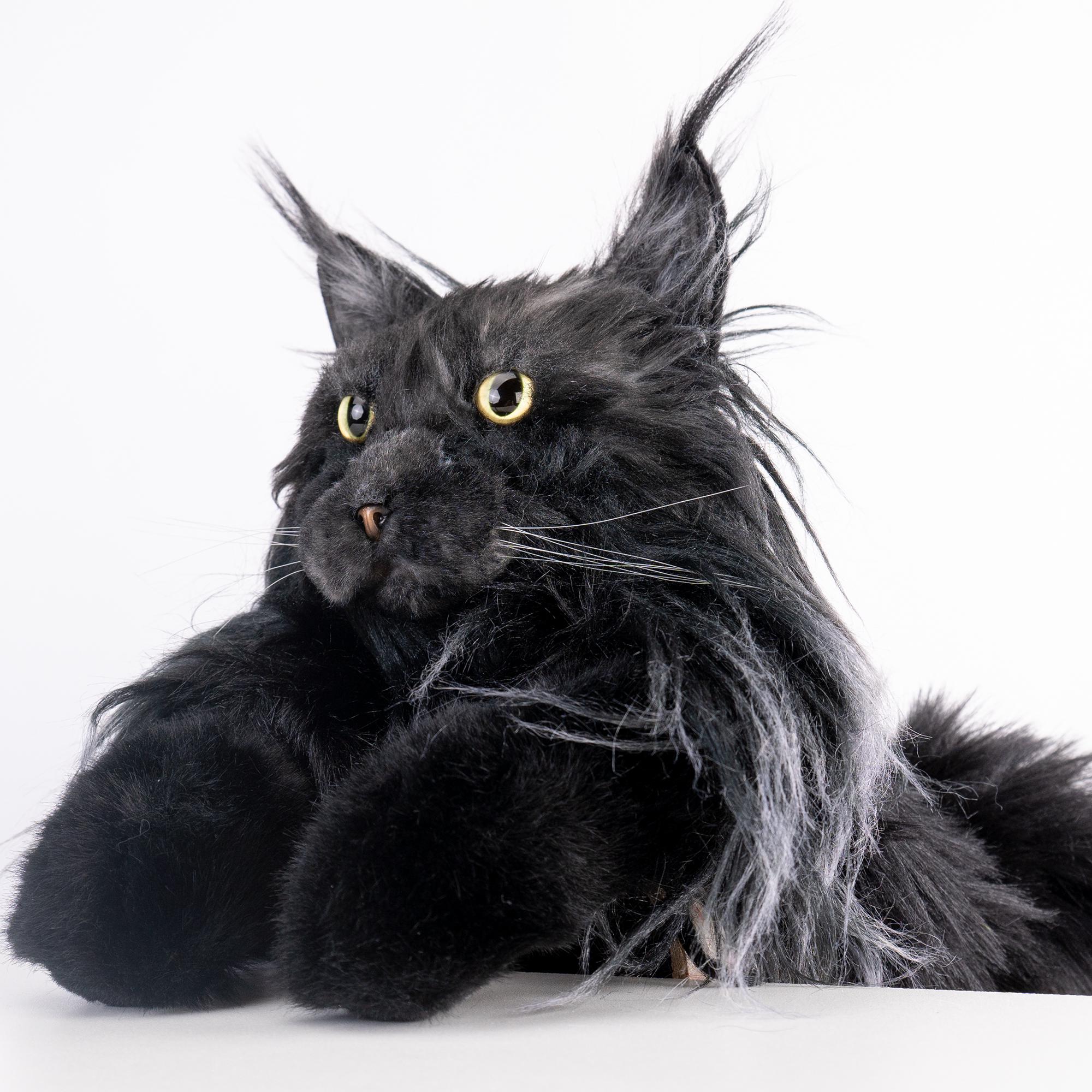 Chongker 猫ぬいぐるみ　黒猫 ブラックキャットぬいぐるみ財布 – カワイイバッグ 子供・ティーン向け