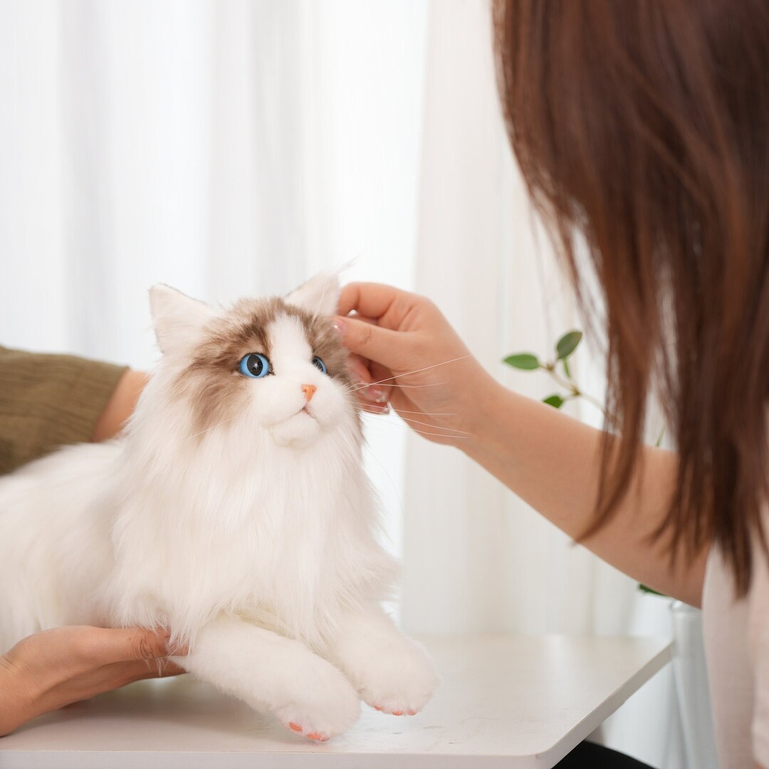 5 couleurs animaux de compagnie électroniques chats poupées