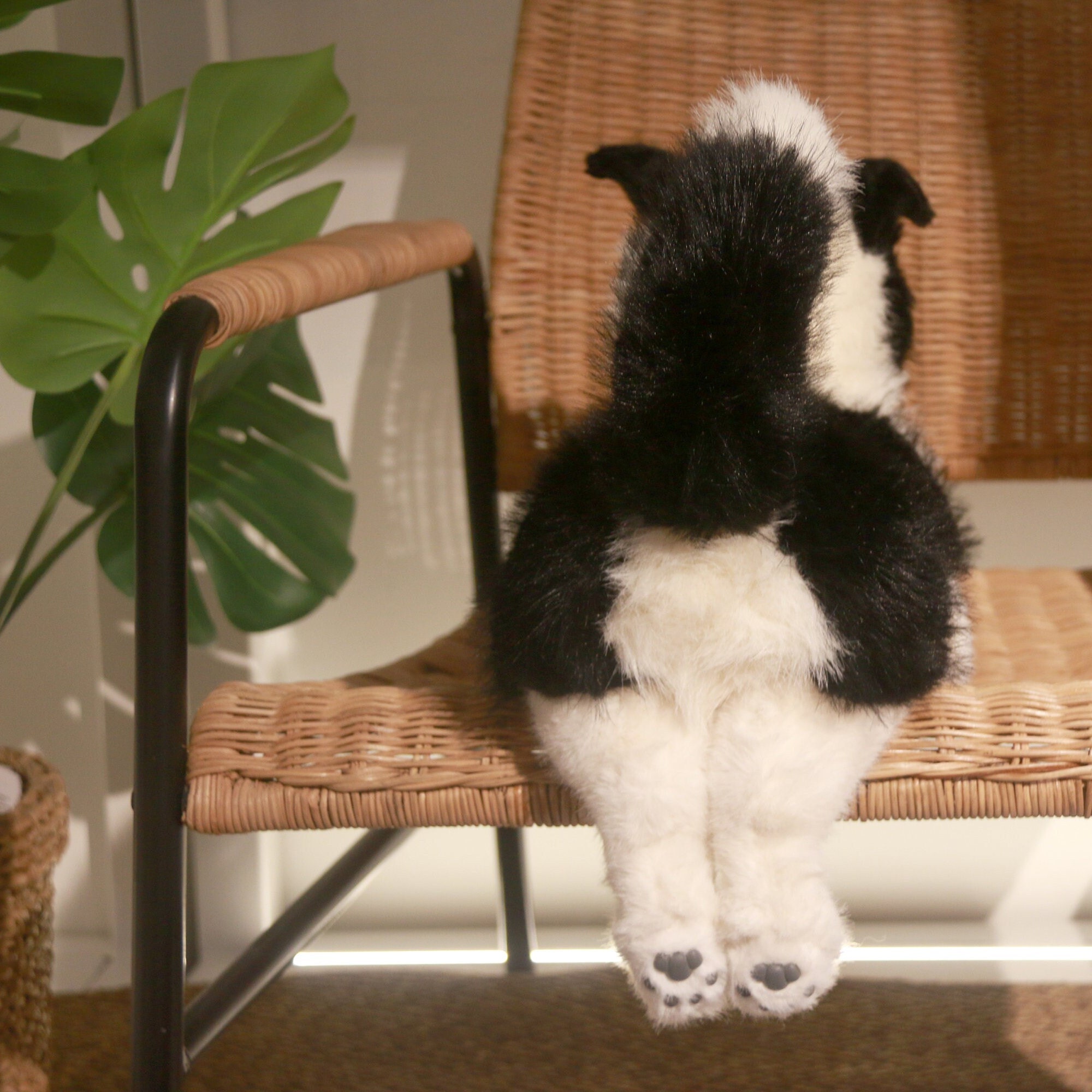 Hot sell lifelike border collie dog seat stuffed animal seat realistic border  collie plush toy seat