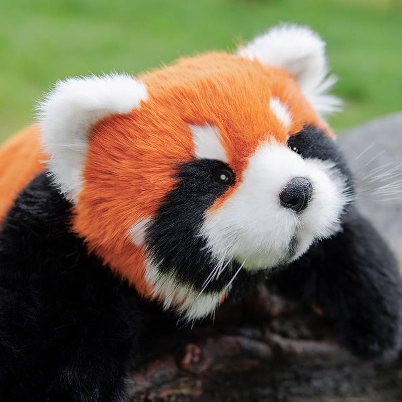 Menglan Panda Plush: Handgjord realistisk följeslagarplyschleksak för husdjur presentset bild 8