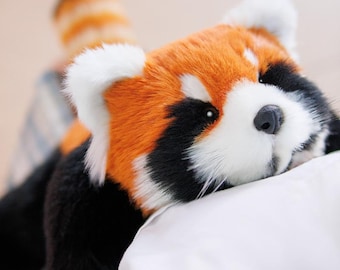 手作りのレッサーパンダの重みのあるぬいぐるみ：コレクターの必需品