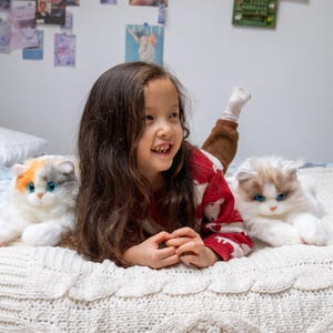 May include: A young girl with long brown hair is lying on a white blanket with two plush cats. One cat is white with blue eyes and the other is white, orange, and gray with blue eyes.