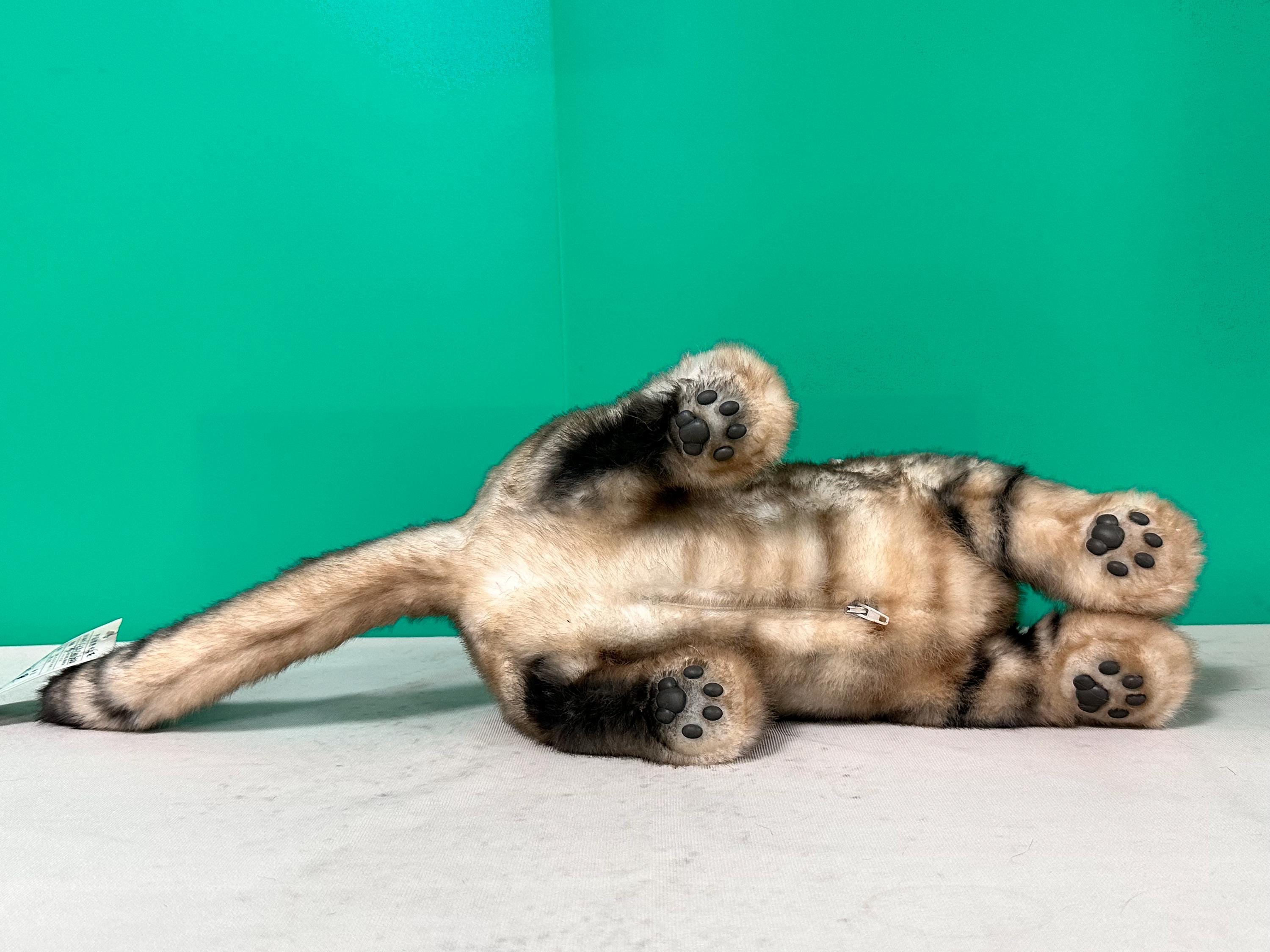 手作りのアメリカンショートヘア猫のぬいぐるみ：リアルなコンパニオン