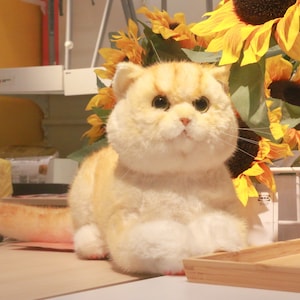 Handmade ,Realistic British Short Hair Cat,Golden fur