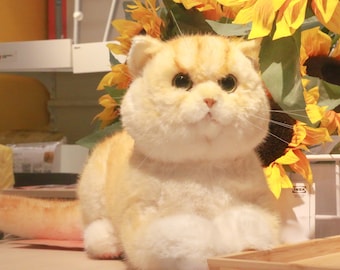 Handmade ,Realistic British Short Hair Cat,Golden fur