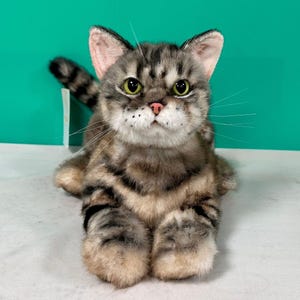 Peut inclure: Un chat en peluche tabby réaliste. Le chat a un motif rayé gris et marron, des yeux verts et un nez rose. Il est assis droit, les pattes en avant, et sa queue rayée est visible. Le fond est de couleur turquoise.