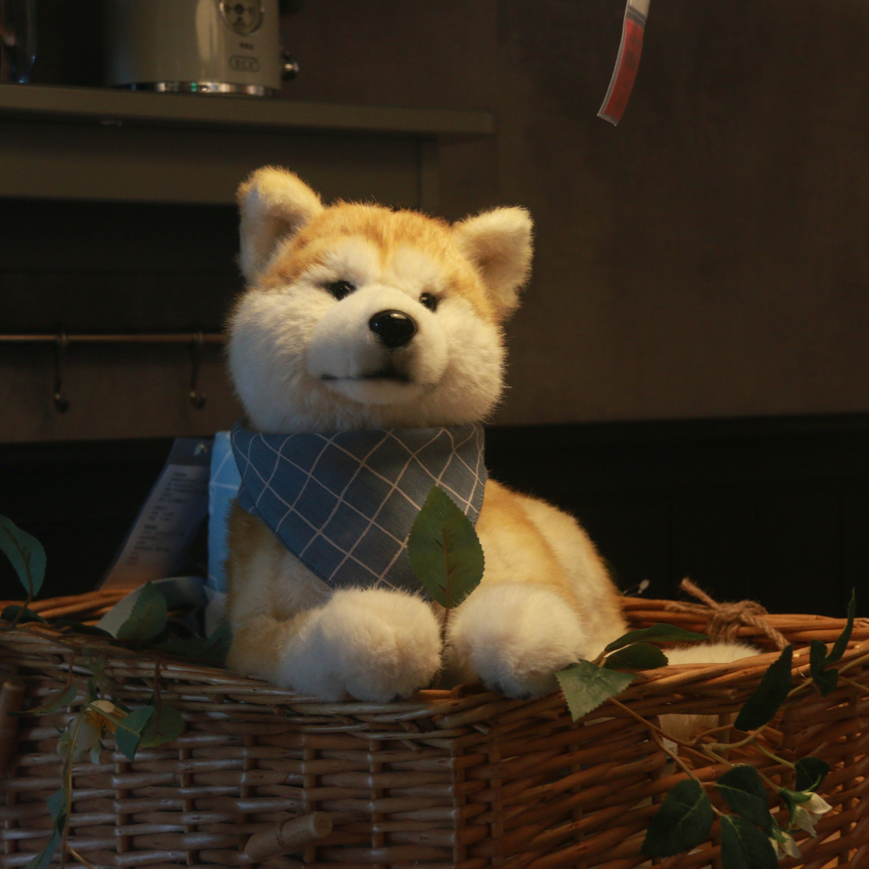 Shiba Inu Dog Plush Canada