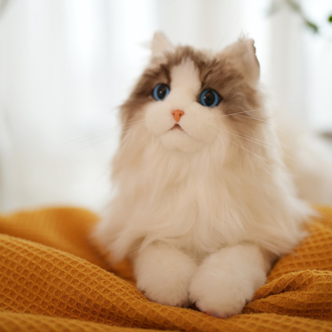 100% Handmade Realistic Stuffed Ragdoll Plush Cat Toycat - Etsy UK