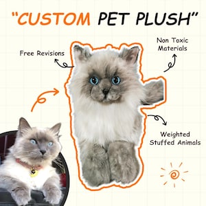 Custom Plush Cat: Handmade Pet Memorial, Realistic Design
