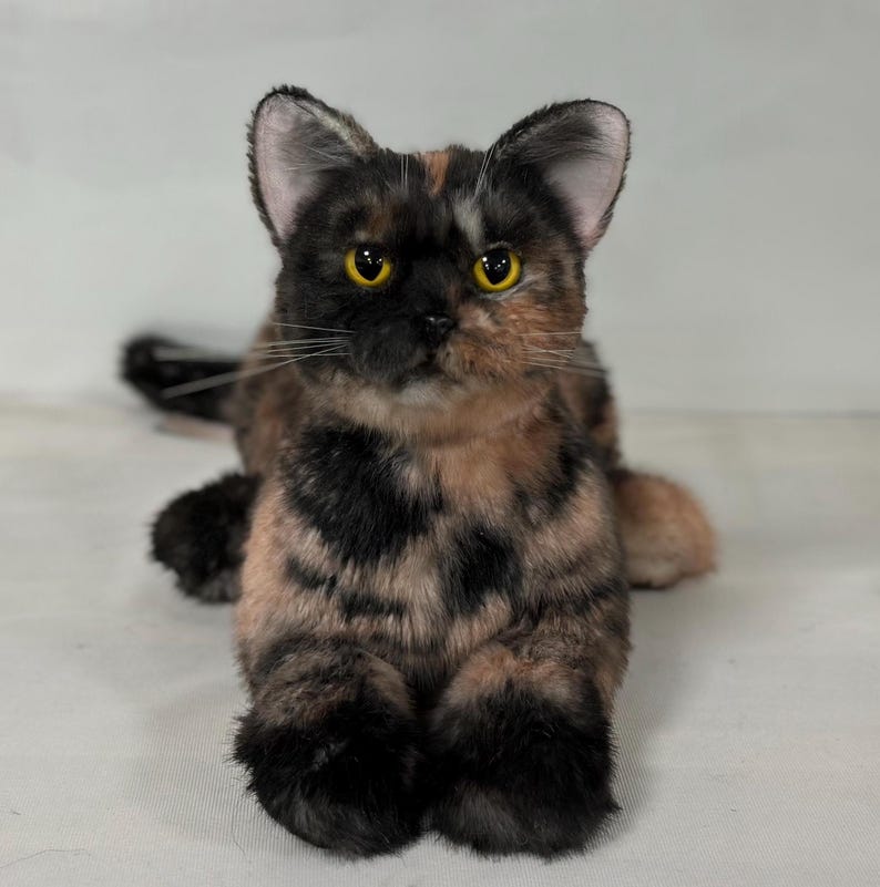 May include: A close-up of a tortoiseshell cat with yellow eyes. The cat is lying on its belly with its paws tucked under its chest. The cat's fur is a mix of black, brown, and orange.