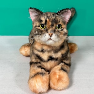 May include: A close-up of a brown tabby cat with green eyes. The cat is lying on its belly with its paws outstretched. The cat has a serious expression on its face.