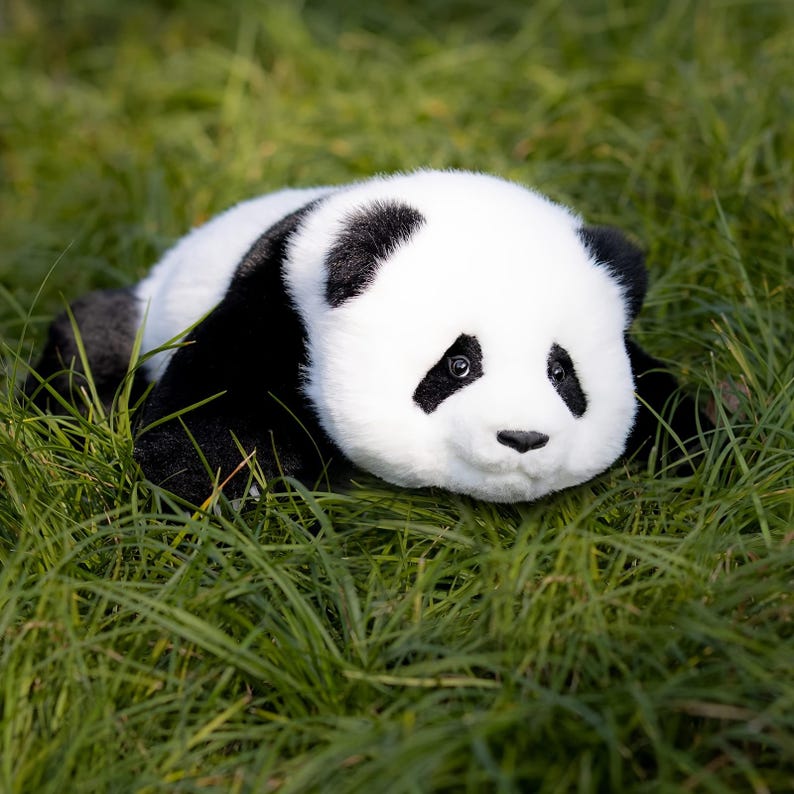 Menglan Panda Plush: Handgjord realistisk följeslagarplyschleksak för husdjur presentset bild 4