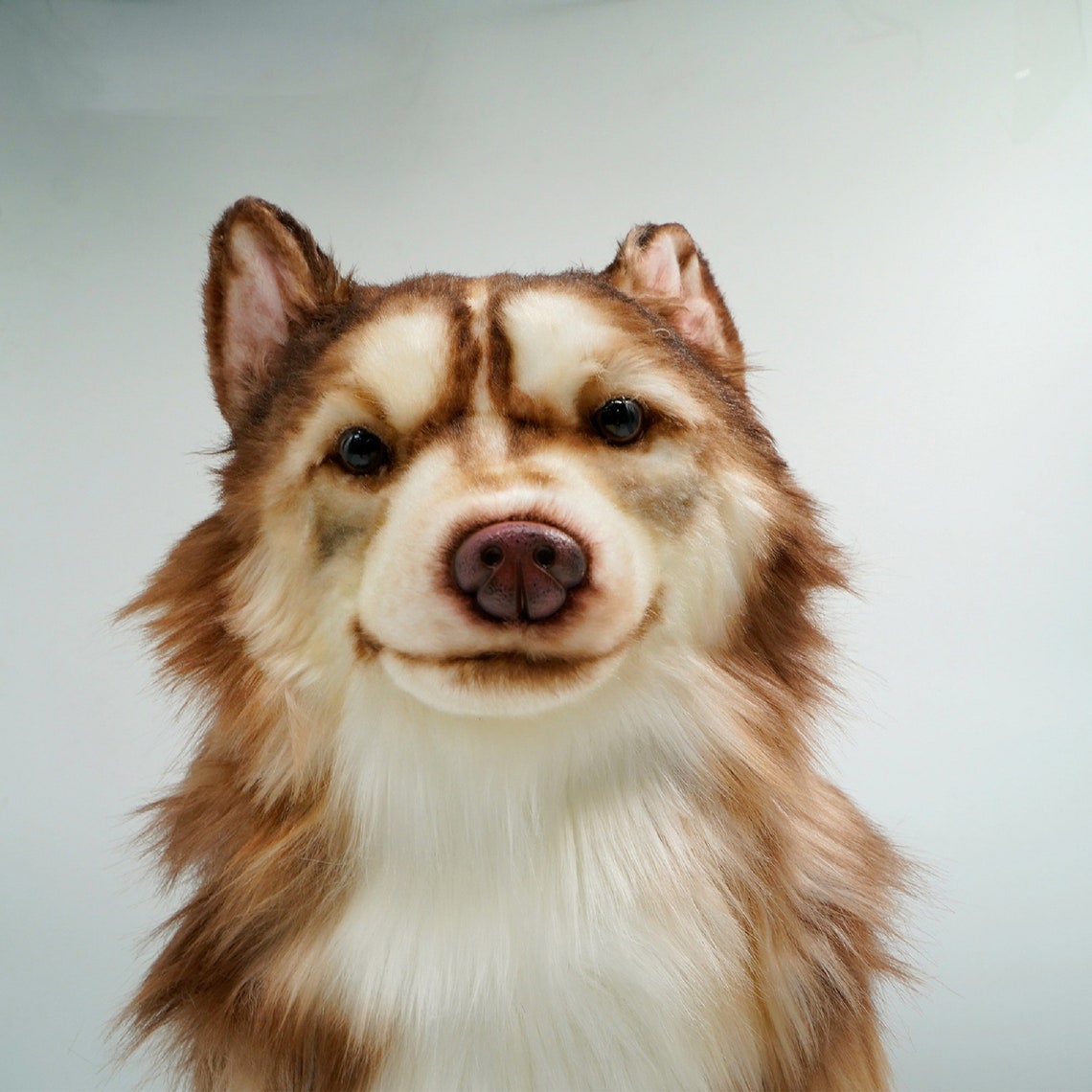 Large Size Handmade Big Brown Siberian Husky Dog Plush Etsy