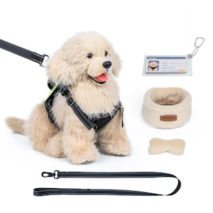 Puede incluir: Un juguete de peluche de perro golden retriever con un arnés y una correa negros. El conjunto incluye un collar a juego, un juguete en forma de hueso y una etiqueta de identificación. La correa es negra con costuras blancas.